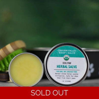 Dog Paw Herbal Salve